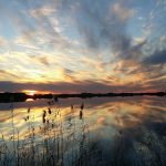 121416935_10157376260836541_1265735039351175369_n-2